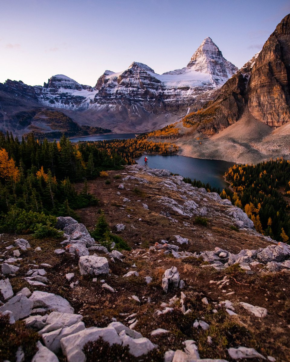 Erik McRitchie Photo tweet media