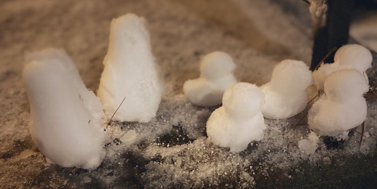 MsBlyereads's tweet photo. Itโs been a longโฆ
Day? Week? Month? Year?
โฆbut itโs snowing!1st #SnowDay of the year (called the night before!!!)โ๏ธโ๏ธ.
Perfect chance to try out one of most thoughtful gifts from an awesome kiddo & his mom. #SnowDucks #SnowPenguin #StillAKidAtHeart https://t.co/TSWEhNF1Gi