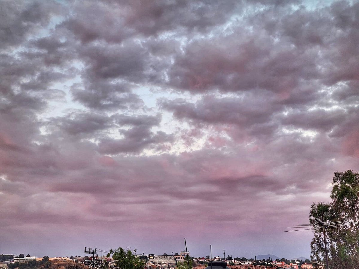 pp_hrico's tweet photo. Algodón de azúcar ☁️ 
#pphr https://t.co/YAuXy9Iaie