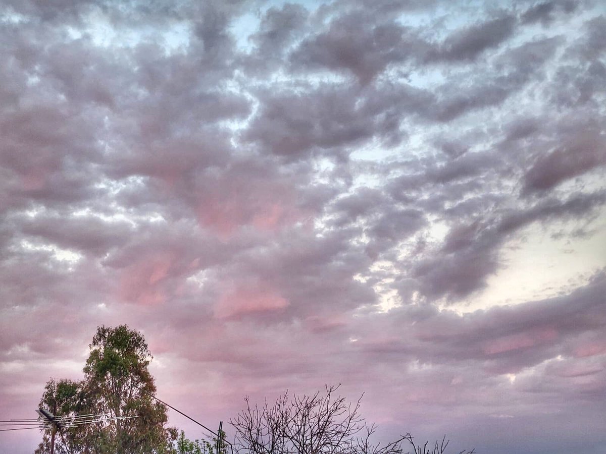 pp_hrico's tweet photo. Algodón de azúcar ☁️ 
#pphr https://t.co/YAuXy9Iaie