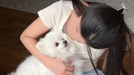 jlmy19's tweet photo. if lia was a faceless idol ; a thread 🧵 https://t.co/sTvm2P2Trb