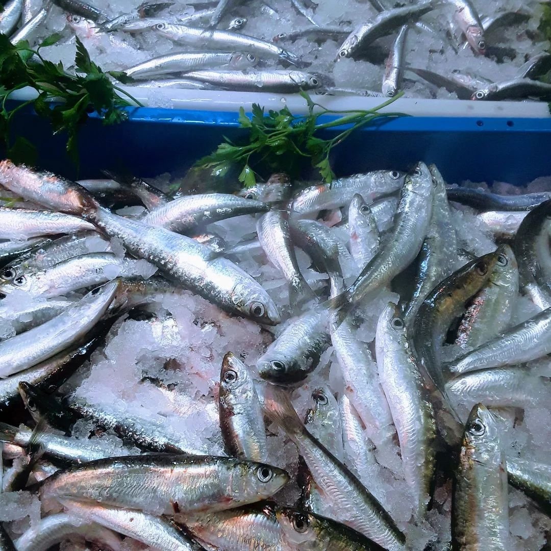 VilaFem's tweet image. Peix i marisc Anna. Qualitat i proximitat #peix #marisc #martorell #martorellvila #comerç #km0 #baixllobregat