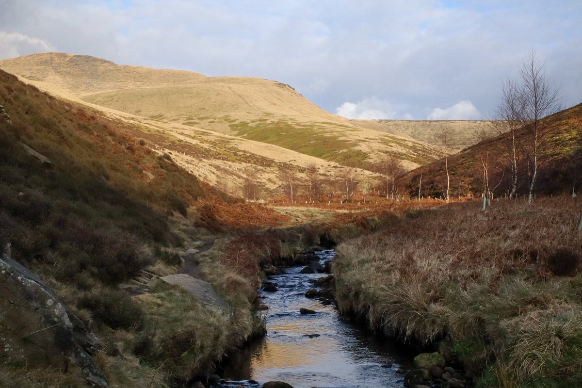 JohnWalksuk's tweet photo. When 6 Miles Feels Like 16

This week's blog post filled with tales of trials and tribulations of a chunky guy trying to get up a hill ! 

https://t.co/anM0q75Wqa

#hiking #GloriousPeakDistrict @peakdistrict #walking #peakdistrict #goingyourownway https://t.co/FOdSx2RuWu