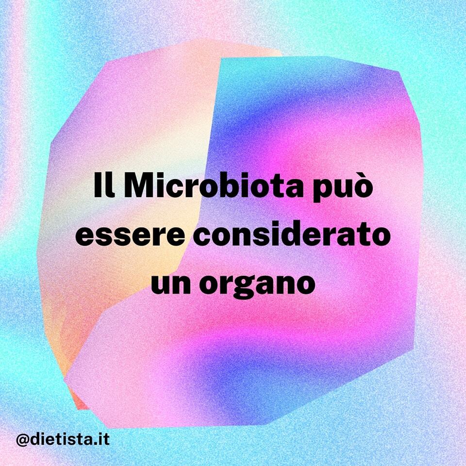dietista's tweet photo. Il Microbiota può essere considerato un organo.

Digerisce elementi essenziali
Dà un aiuto importantissimo al sistema immunitario
Produce vitamine come le B e la K
Assorbe oligominerali come il ferro, il calcio e il magnesio

Ascolta il #podcast su #spot… https://t.co/PMgOPdXT4h https://t.co/eC8ZWpJjRI