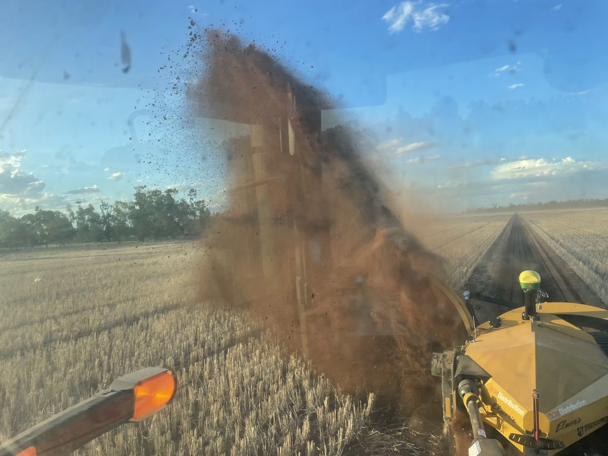 Mal Mckay tweet media