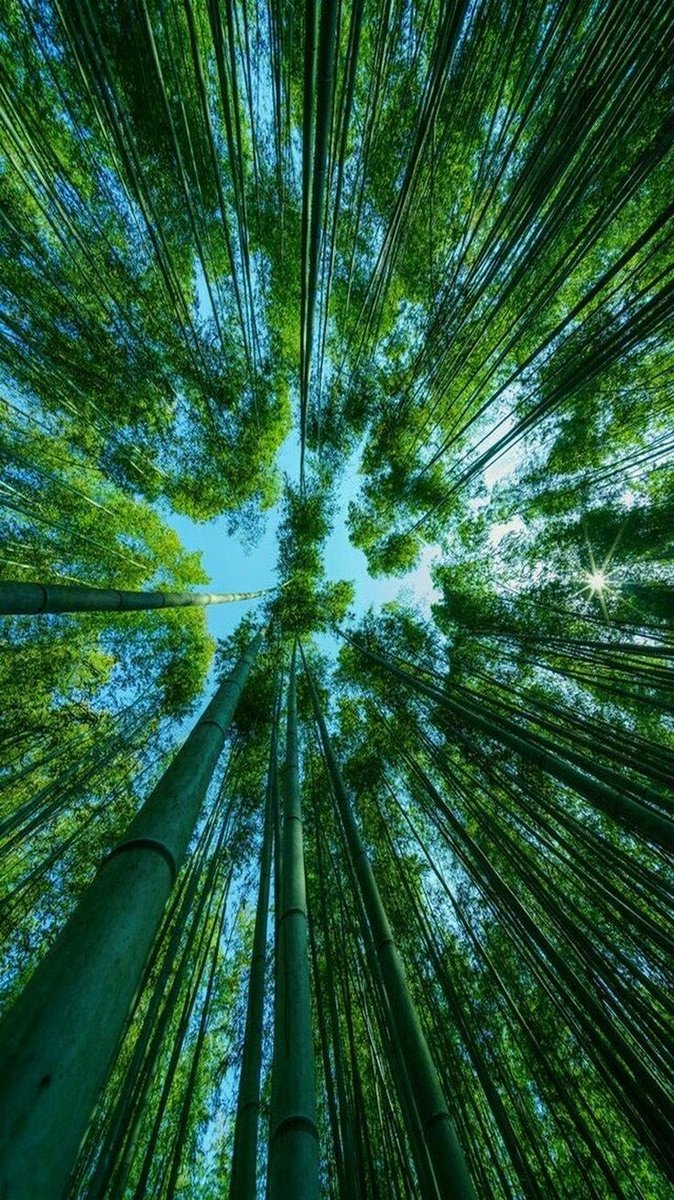 monicameyra's tweet photo. Happy tuesday 💚💚🩵💚💚 https://t.co/AHi6ZnLjID