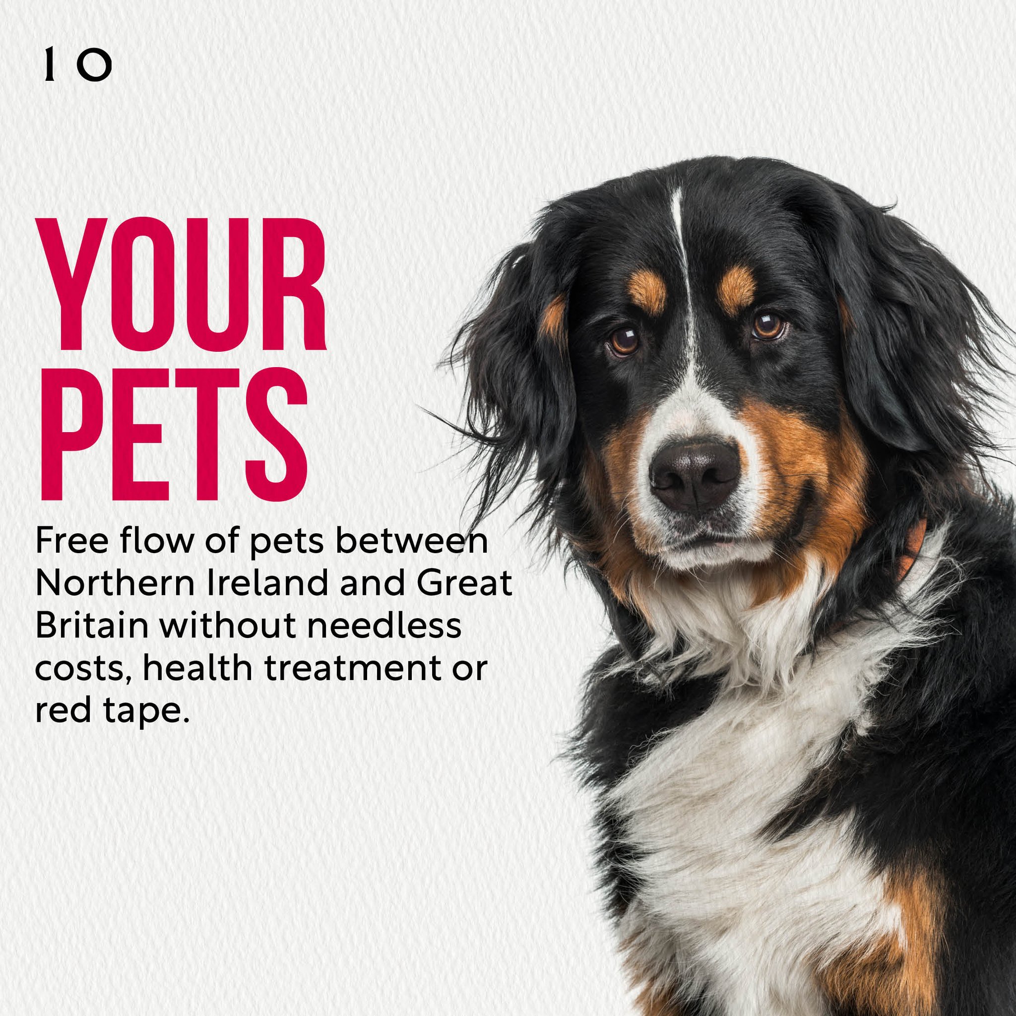 UK Prime Minister on Twitter "Pets Before Costly Checks Now Easy