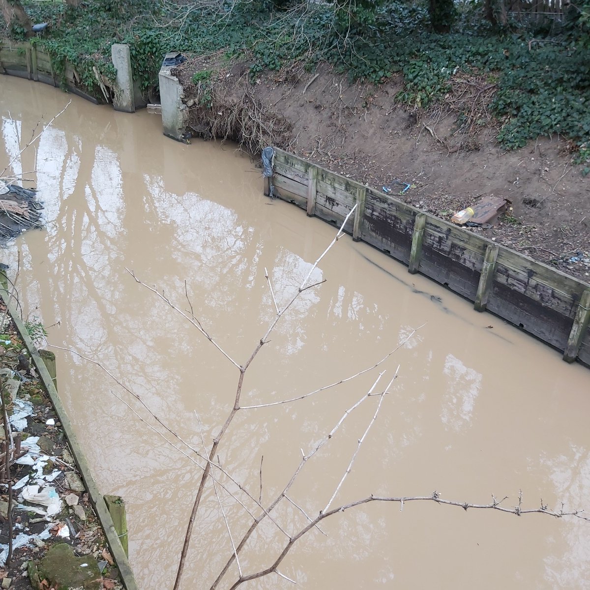 Linn Branson tweet media