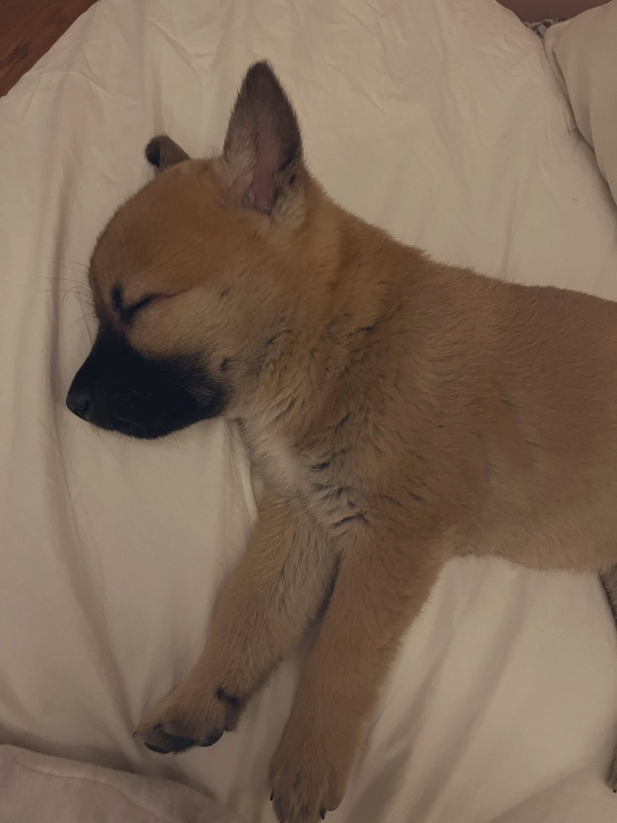 좋은 꿈꾸고 쑥쑥 크렴