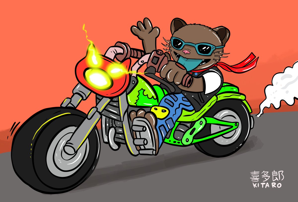 Let’s go ride <a href="/KitaroNFT/">——</a> .
GMeow 😽