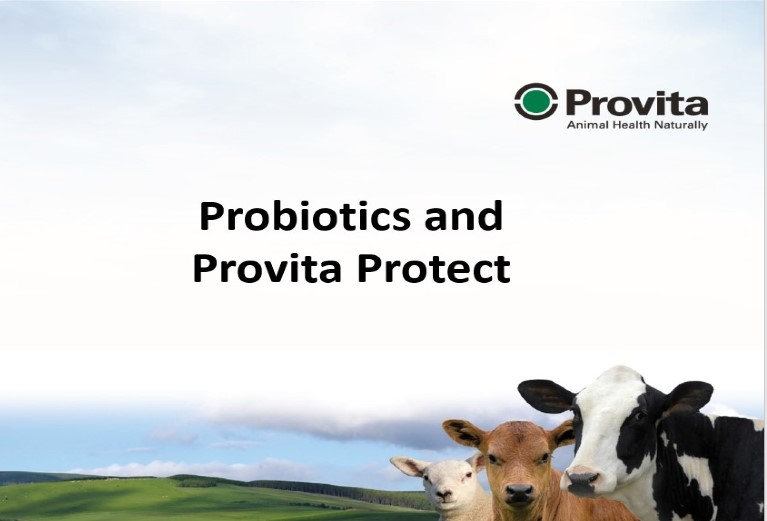 Fascinating new CPD course released this week <a href="/SQPTraining/">SQP Training</a>  FREE online to registered SQPs, worth 5 CPD points and illustrating the extraordinary benefits of probiotics in the battle against calf scour and AMR #lovetolearn #AMTRA #VBMSTraining #SQP #Provita