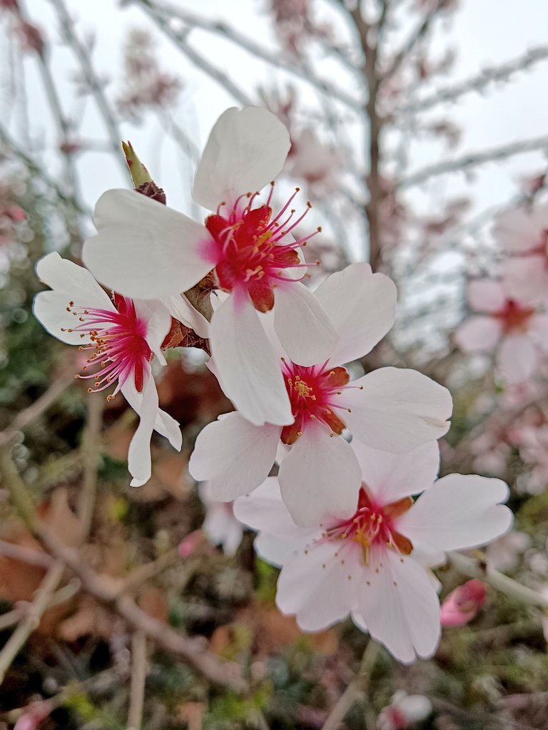 もうすぐ春が来る