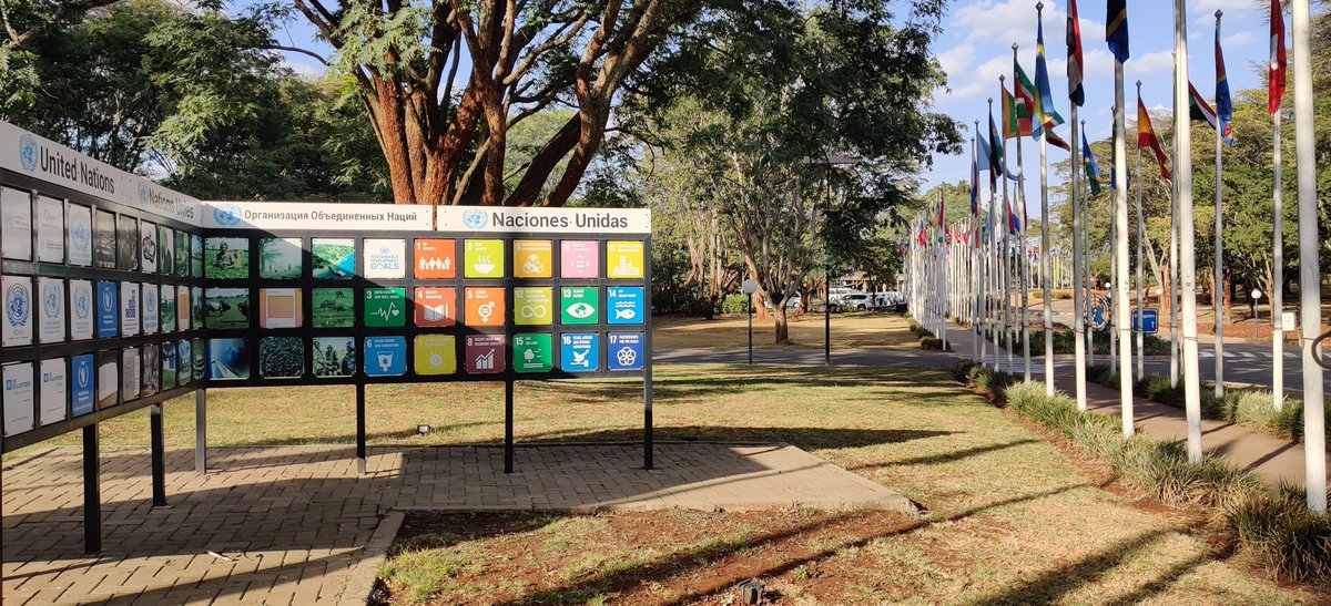 Intersessional process considering the Strategic Approach and sound management of chemicals..started at UN Premises in Nairobi. ICOH joins the Labour and Health sectors and IOMC promoting better risk management re chemicals. Hazardous substances kill 1.1 million workers annually!