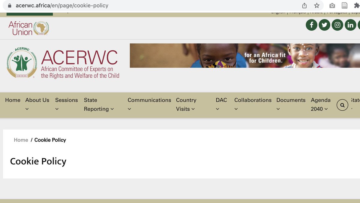 was excited to see new links to a data protection policy, whistleblower info, and other policies on the new <a href="/acerwc/">ACERWC</a> website (firsts for a regional human rights body!) 

Currently, they all lead nowhere or to empty pages 😭😭😭 But, fingers crossed!