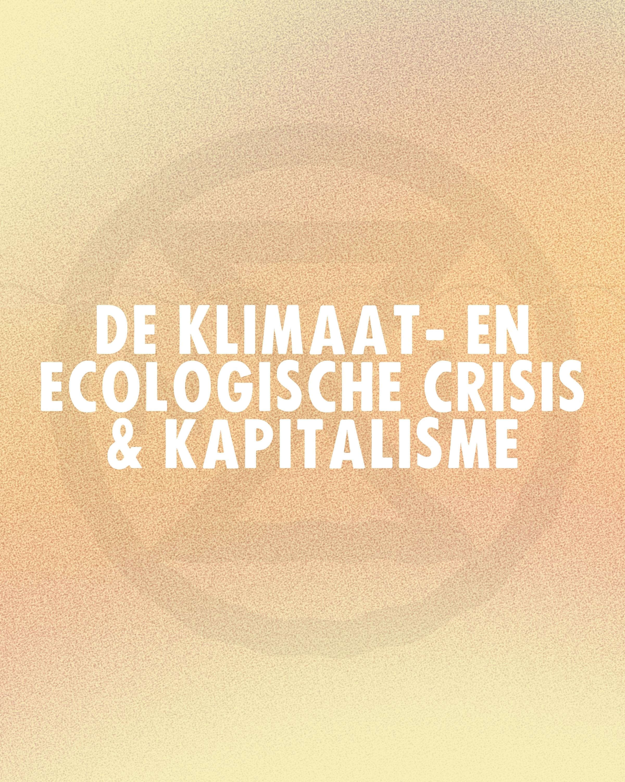 Rozemarijn van 't Einde (Rozemarijnvte) / Twitter