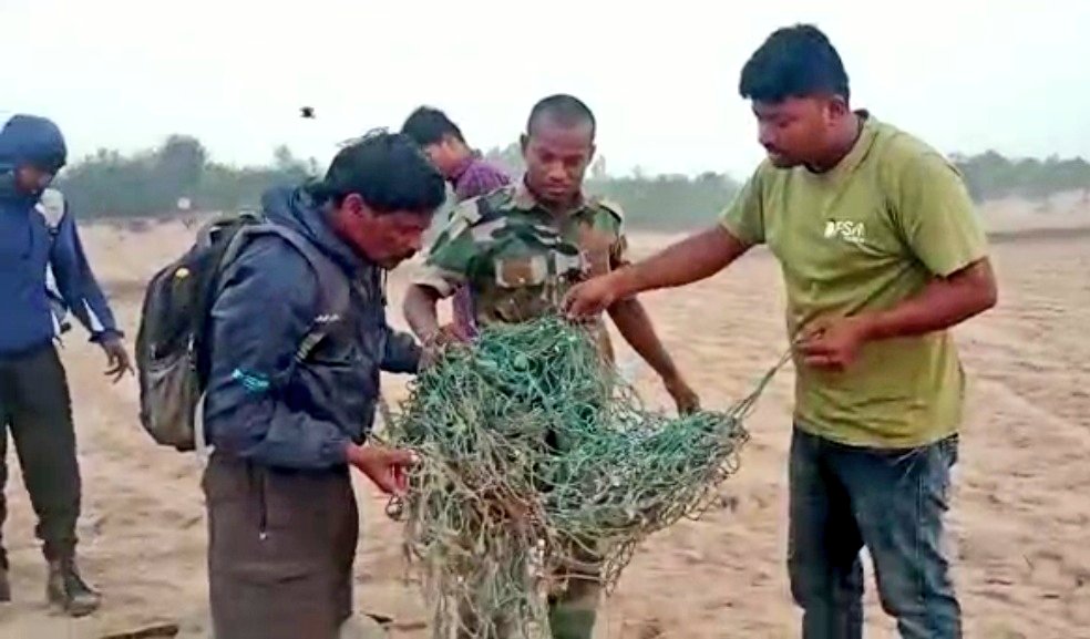 NiharOPSA's tweet image. This 🌅 we at @OdishaSeaTurtle helped an #OliveRidley  trapped in ghost net

Reported to team @dfobhmpr and with their assistance, We removed the nets successfully and help the ridley to go back into the ocean with a new life.💙

#Rushikulya #MassNesting #Odisha