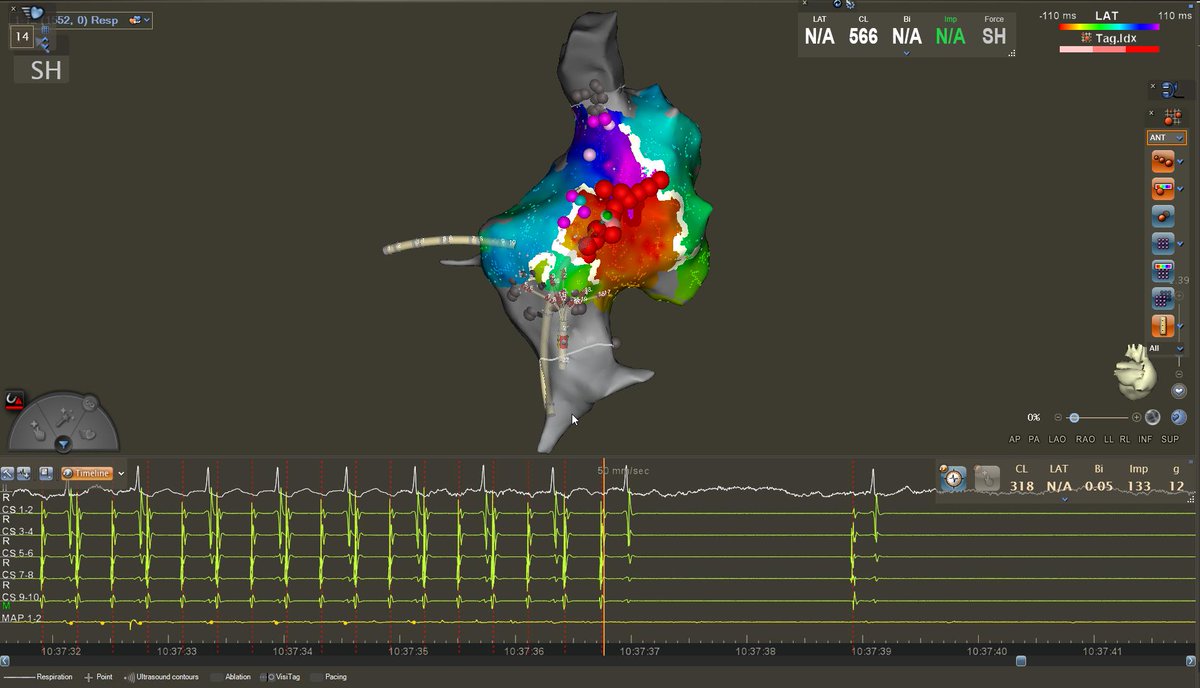 Chiara Valeriano tweet media