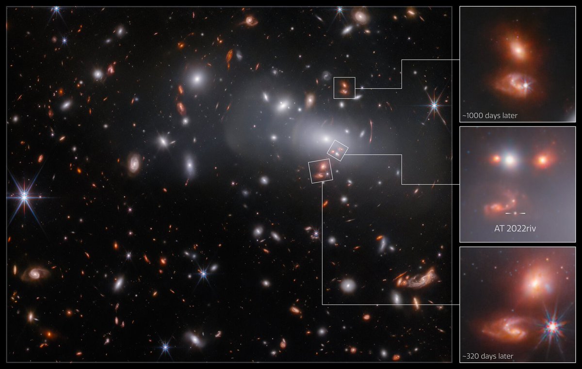 astropierre's tweet photo. Observé par le JWST, voici l'énorme amas de galaxies RX J2129 (en blanc), situé à 3,2 milliards d'années-lumière

Sa gravité déforme la lumière d'une paire de galaxies située loin derrière &amp; les fait apparaître en 3 versions, dont 1 contient une supernova

https://t.co/YS0sM755b1 https://t.co/JSZiAWkpz5