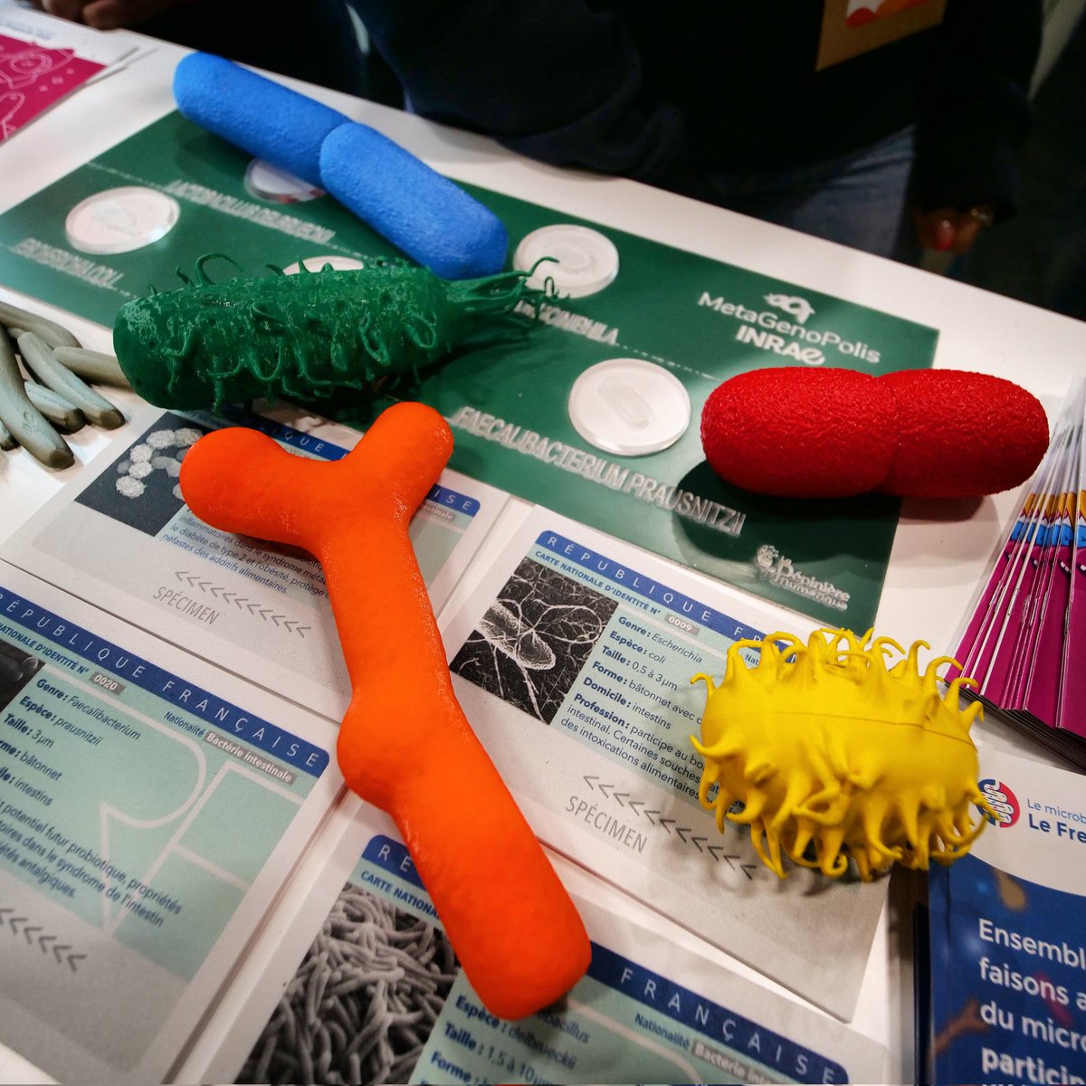 #Bactéries du #microbiote intestinal humain imprimées en 3D sur le stand <a href="/INRAE_France/">INRAE</a> du #salonInternationalDeLAgriculture avec <a href="/MgpsLab/">MetaGenoPolis</a> et la <a href="/PepiniereNum/">Pépinière Numérique</a>.

#LumixG9 #laowa7_5mm

instagram.com/p/CpM7GDdtTDF/