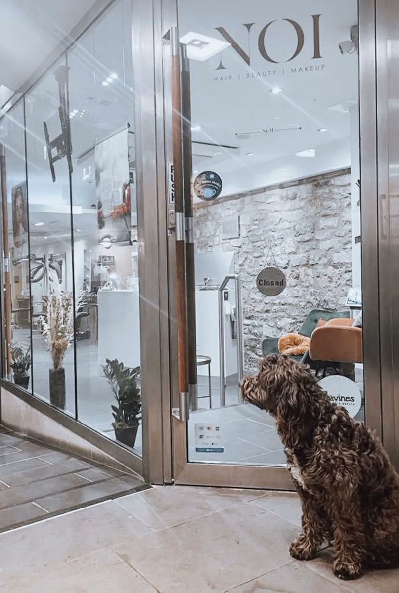 WELCOME TO NOI
From ladies and men’s cuts and colours to balayage and brows, @noisalonbath can take care of a wide variety of your hair and beauty needs... buff.ly/3swDIJ3 #milsomplace #cityofbath #visitbath #livebath #hairdresser #beautysalon #Noi #NoiinBath
