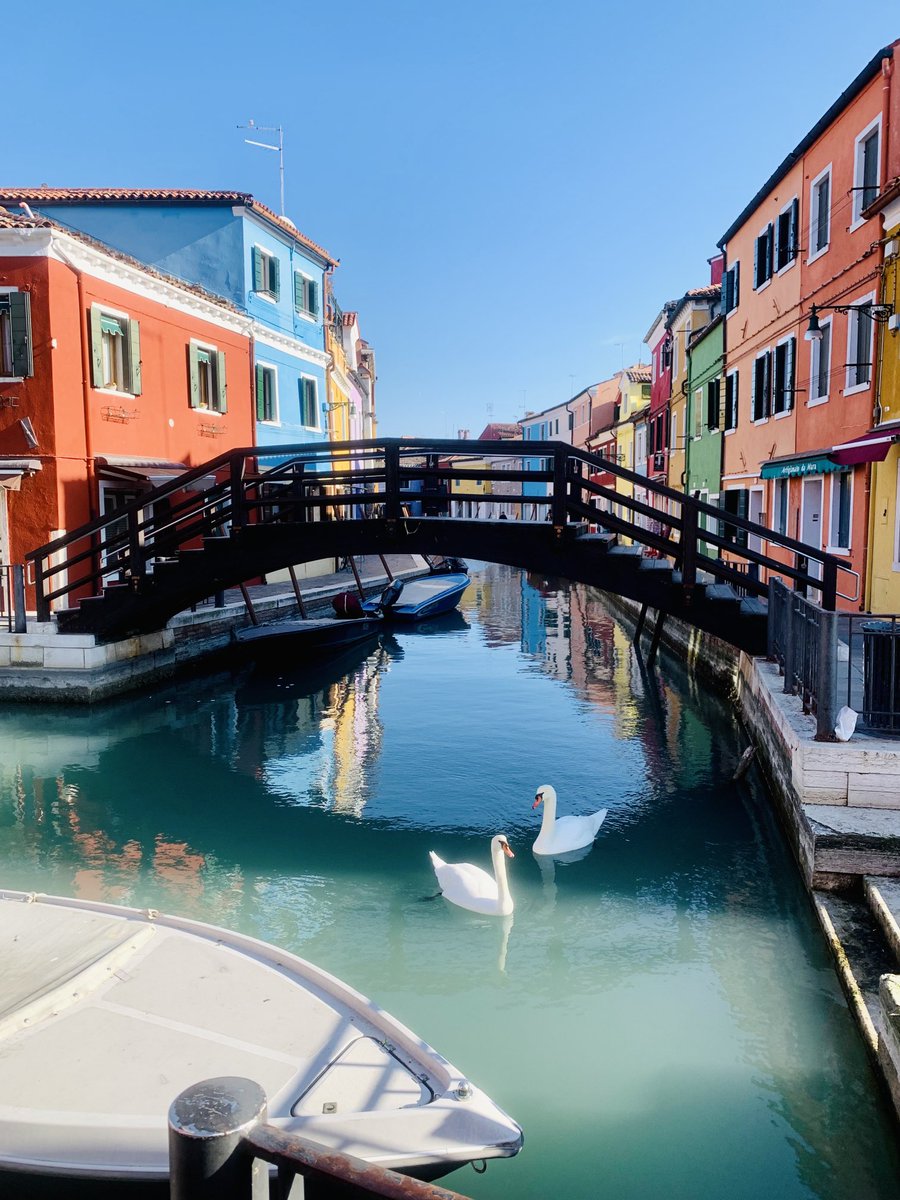 Wayne Dabbs tweet media