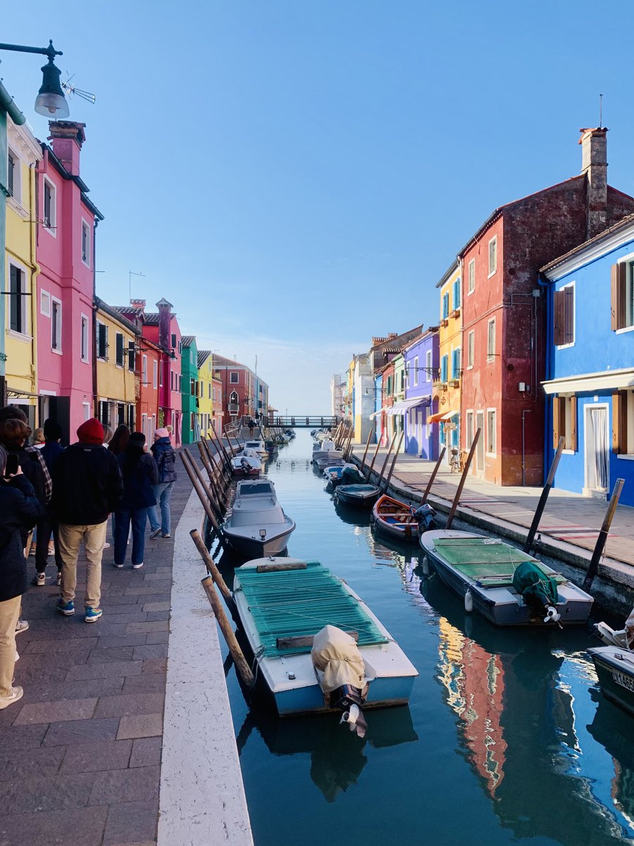 Wayne Dabbs tweet media