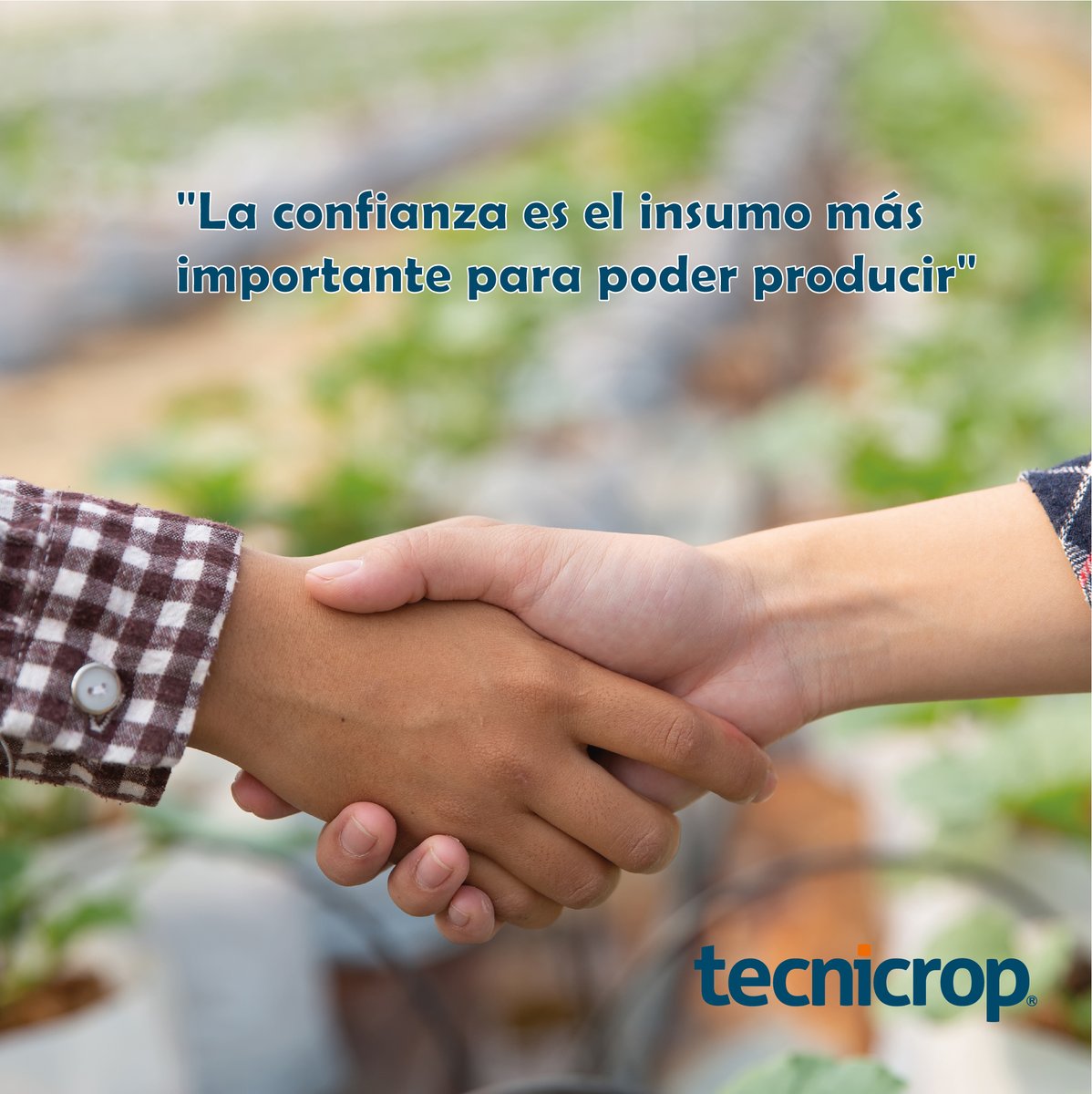 Tecnicrop's tweet photo. En Tecnicrop creemos que la confianza es la base en la que se debe sustentar toda actividad, uno de los principios en los que se basa la Agricultura Consciente.

#confianza #agricultura #insumos #producción #agriculturaconsciente https://t.co/WkZDjUW1fm