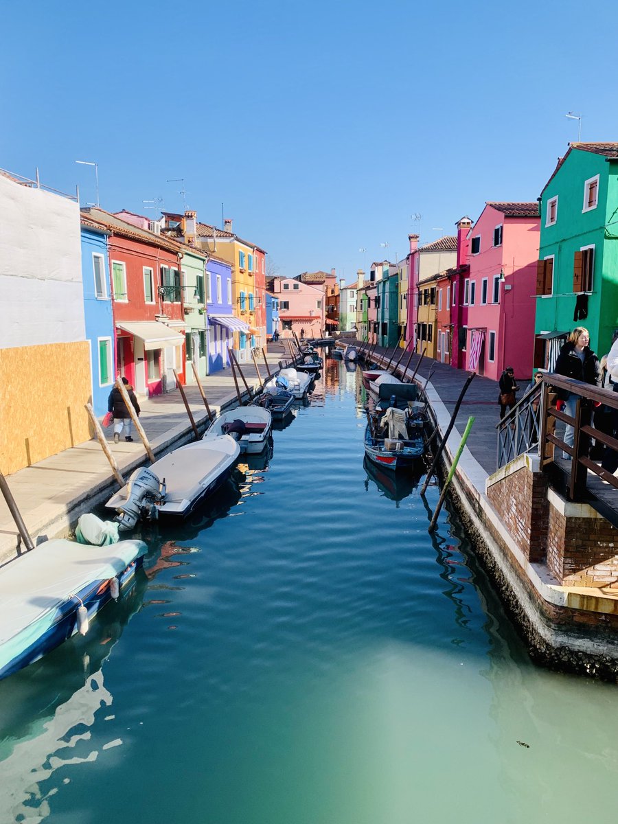 Wayne Dabbs tweet media