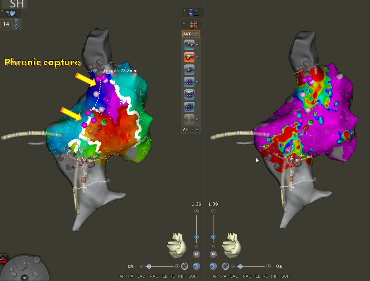Chiara Valeriano tweet media