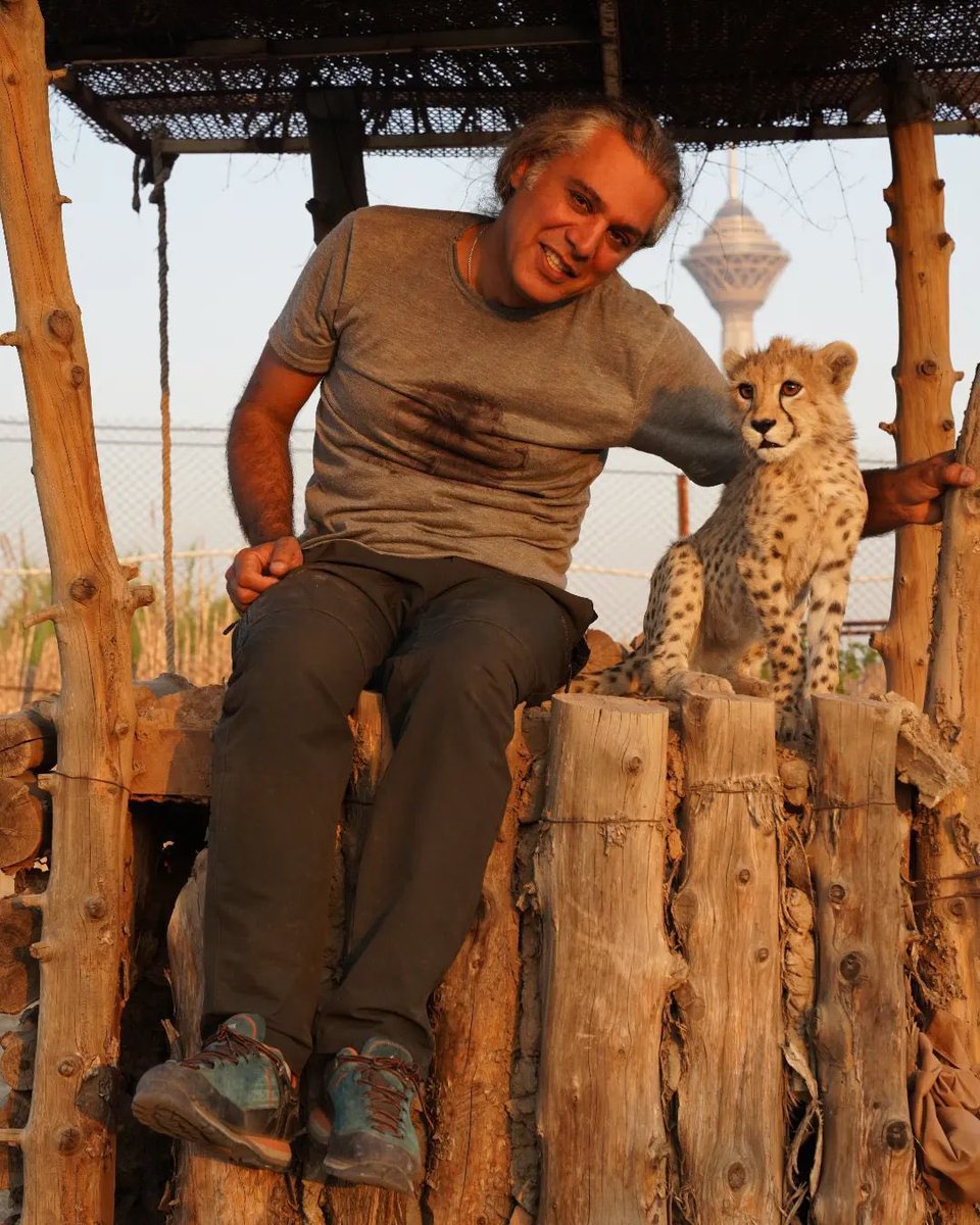 فلات ایران tweet media