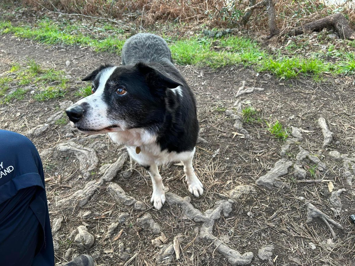 #reg joining me and <a href="/LiindaMcKeown/">Linda McKeown</a> on our 3 mile teatime training walk for our #greatglenway adventure