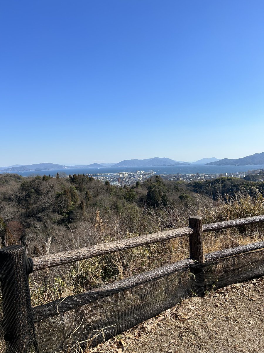 そろそろお尻が割れそうです