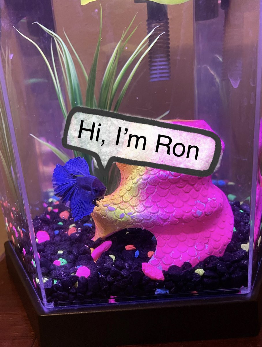 cole4527's tweet photo. We got a new friend. His name is Ron Stampler @HeyBethMay. He was also cursed by Scam Likely to not be able to wear panrs, as you can see. https://t.co/VaHuR62BUt