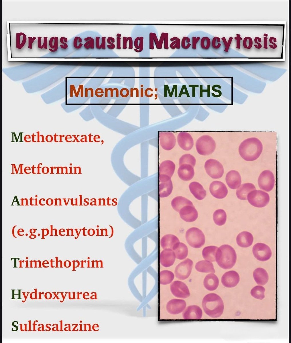 yoursmedico's tweet photo. Drugs causing macrocytosis
#MedEdChat #MedEd #medtwitter #MedTwitterSelective
#neetpg2022counselling #NEETUG2022 #neetug2022counselling #NEETPG2023 https://t.co/OI9zKAqm27