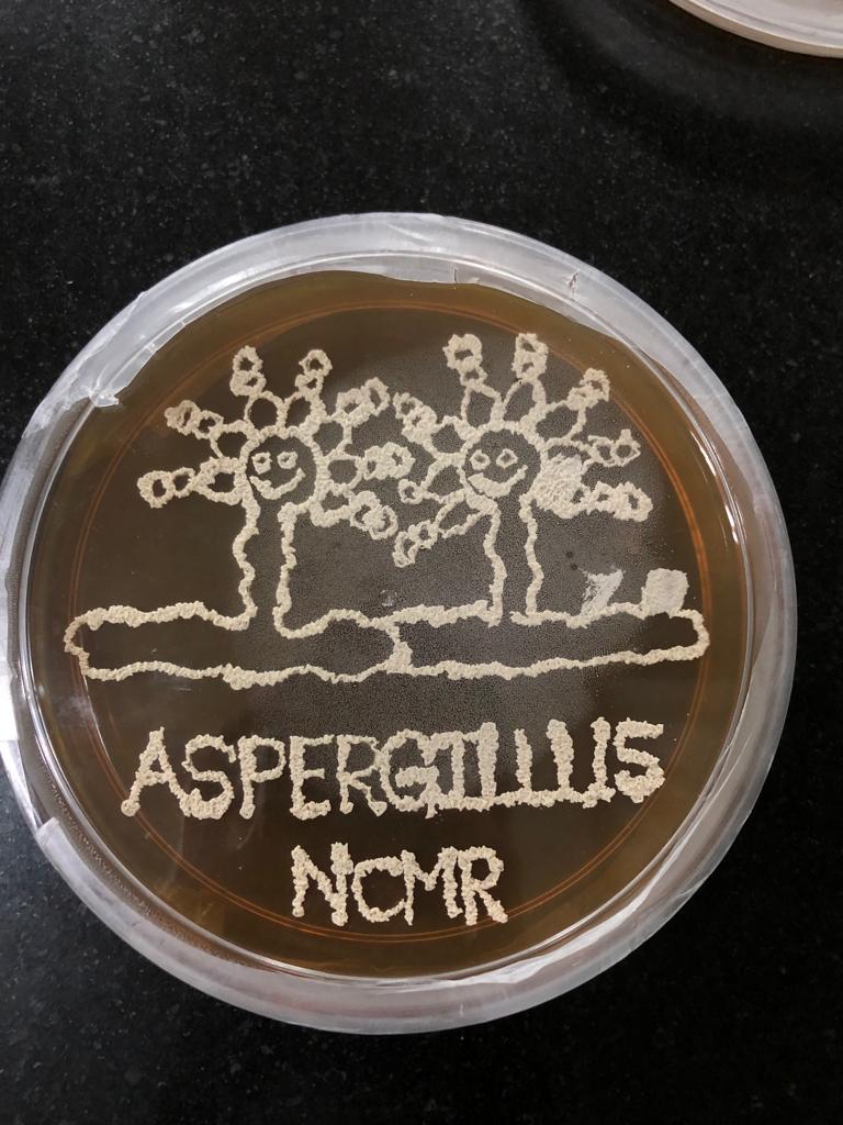 RamAvchar's tweet image. Happy National Science Day! NSD-2023 &quot;Global Science for Global Wellbeing&quot;@Openday @SciOutrAthab @NCMR_Pune @SharmaAavi @DBT_NCCS_Pune
 🔬 🧫🧬🧫