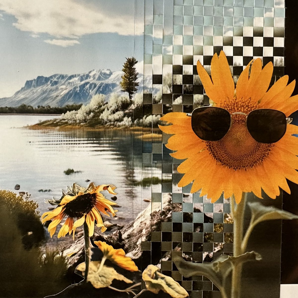 Sunflower Future

#Februllage #februllage2023 #future #analogcollage #collageart #wovencollage #handmadecollage #papercollage