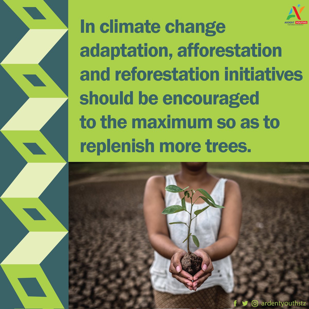 ArdentYouths's tweet photo. In climate change adaptation, afforestation and reforestation initiatives should be encouraged to the maximum so as to replenish more trees.
#SDG13 #climatechange #Adaptation #Measures #ActNow #BeingGreen #Trees #climateadaptation #worldinitiative https://t.co/uxefVLKzWF