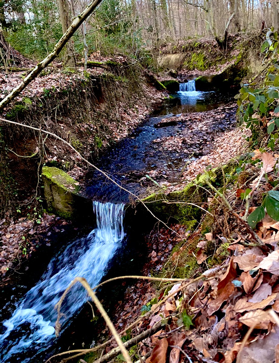 FocusAgrarLenz's tweet photo. Die #Niederschläge im Übergang von #Eifel zur #Voreifel lagen im Januar/Februar endlich wieder mal im #Durchschnitt.
Die #Gewässer sind gut gefüllt.
Kritisch ist, dass die Zwischenspeicherung durch Schnee keine Rolle mehr spielt.
#AllesFließtAb
#Landwirtschaft
#Ernährung https://t.co/kqH6HohPr2