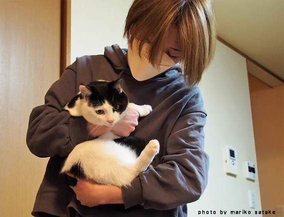 猫が次々やってきた!│フェリシモ猫部  