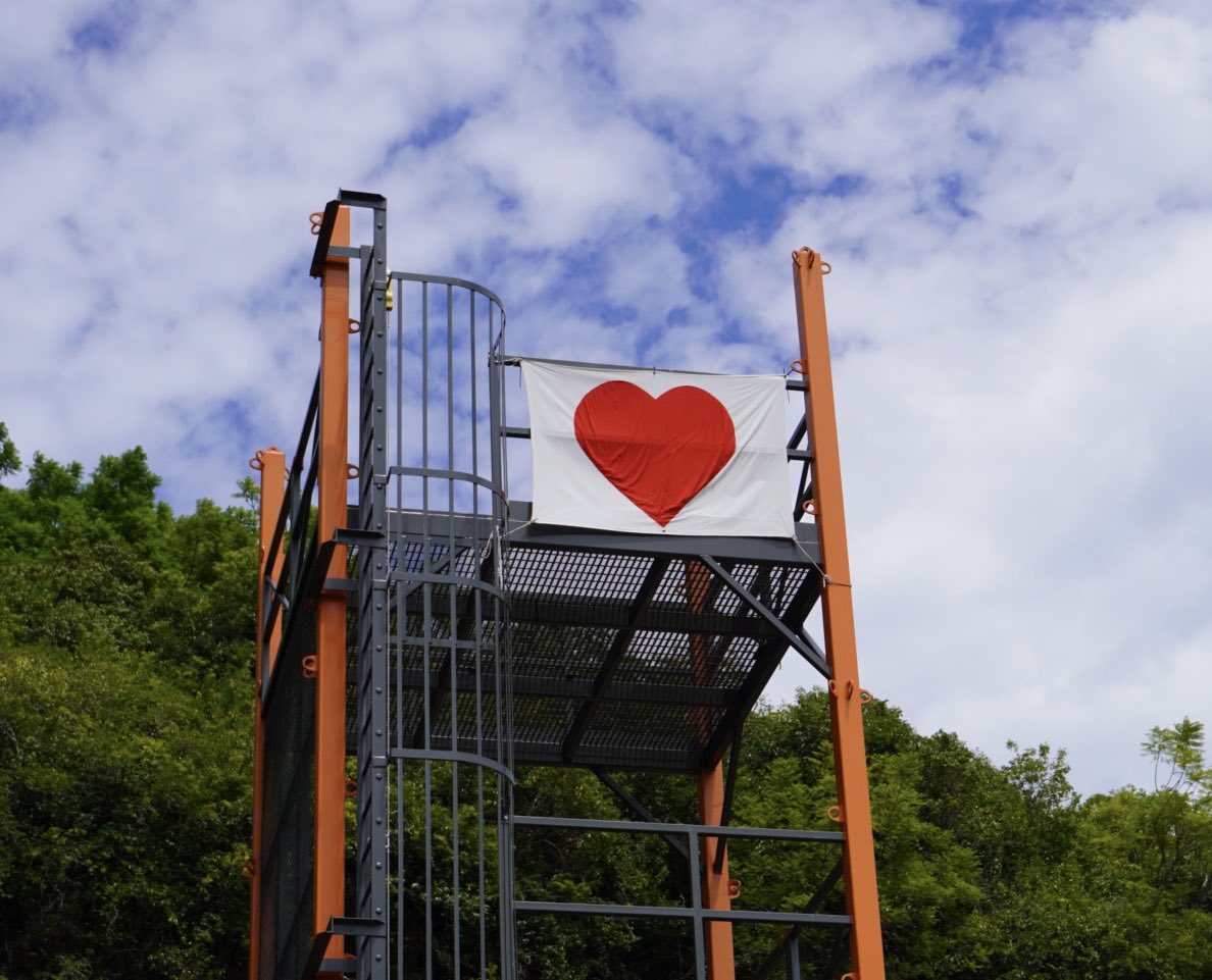 Steph Cooke MP tweet media