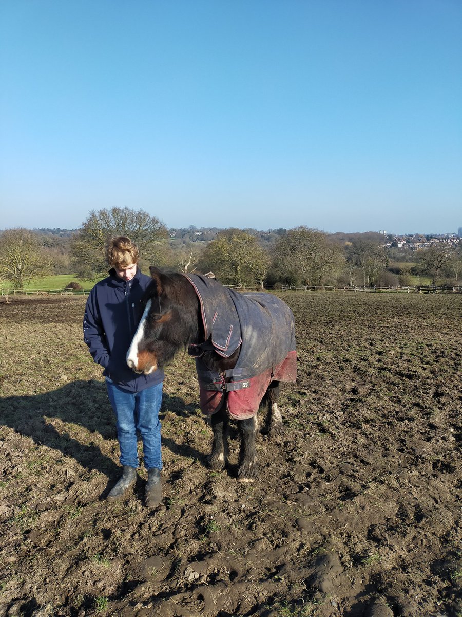 KjbPony's tweet photo. @aponyhour It's been a bit chilly here in North London but loving the snowdrops, sunny days and lighter evenings 🥰 Am loving the boys bonding even more #ponyhour #equestrianlife #irishcob #bestfriends https://t.co/LcBQ3a57El