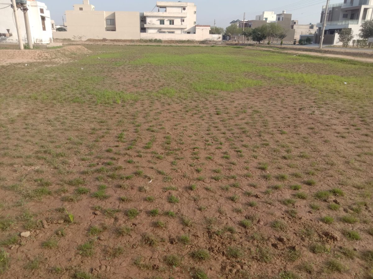 IEP_Town's tweet photo. Watering at New Park Development.

#malikshahbazalikhokhar #President #engineerstown #cooperative #society #Lahore #watering #newparkdevelopment https://t.co/aRcI324Yfq