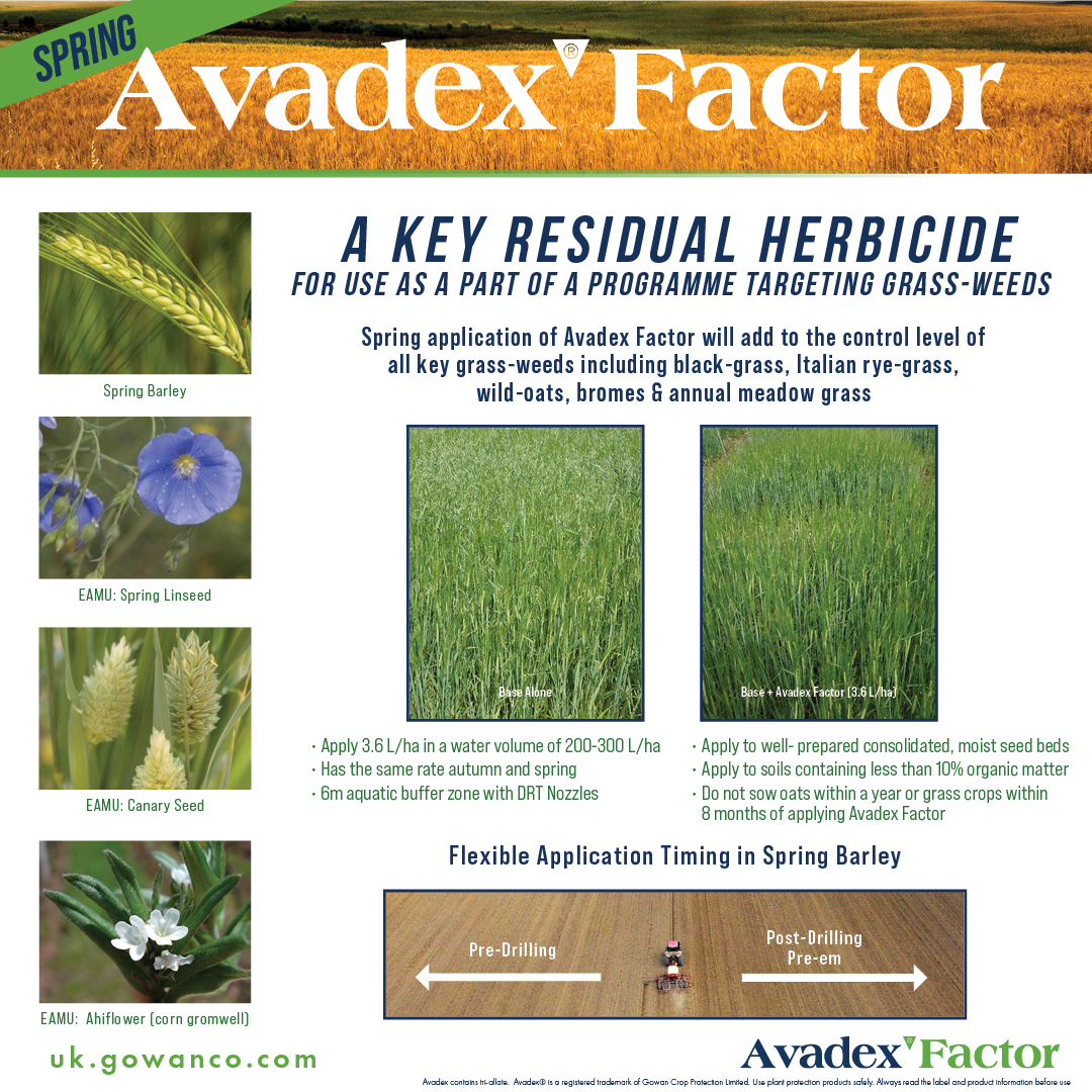 GowanUK's tweet image. Be sure to include Avadex Factor in your spring barley grass-weed management toolbox. #Avadex #SpringBarley