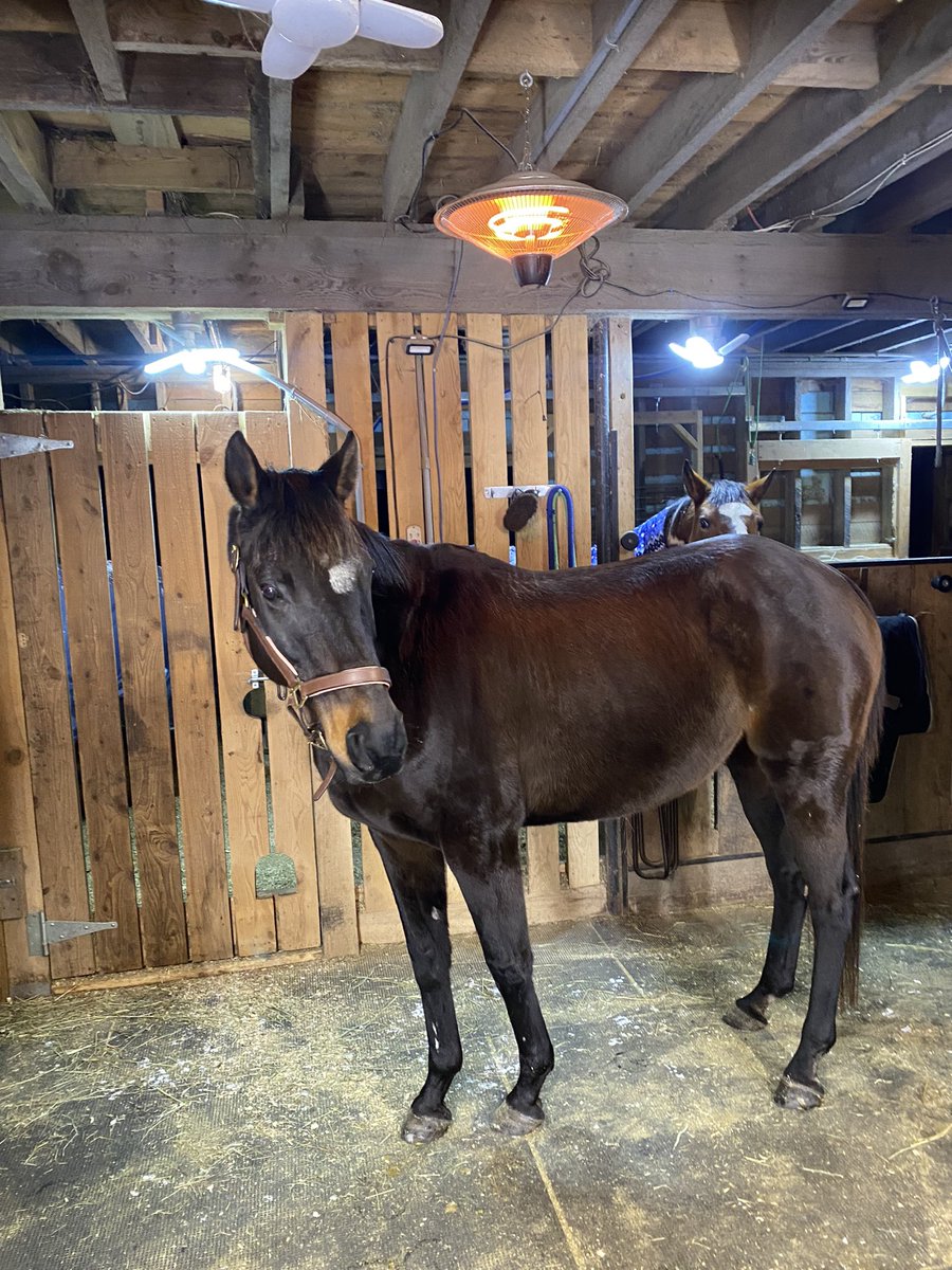 EQnotavailable's tweet photo. anyways here the baby in her active senior living lol, having her in private full care has been eye opening. https://t.co/eobRJUViHe