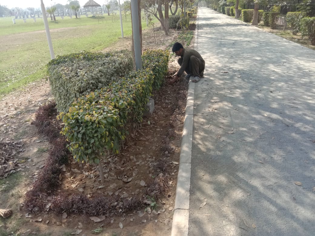 IEP_Town's tweet photo. Parks Cleaning &amp; Grass Cutting Work in Progress.

#malikshahbazalikhokhar #President #engineerstown #cooperative #society #Lahore #parkscleaning #grasscutting #workinprogress https://t.co/d0eCLB6szh