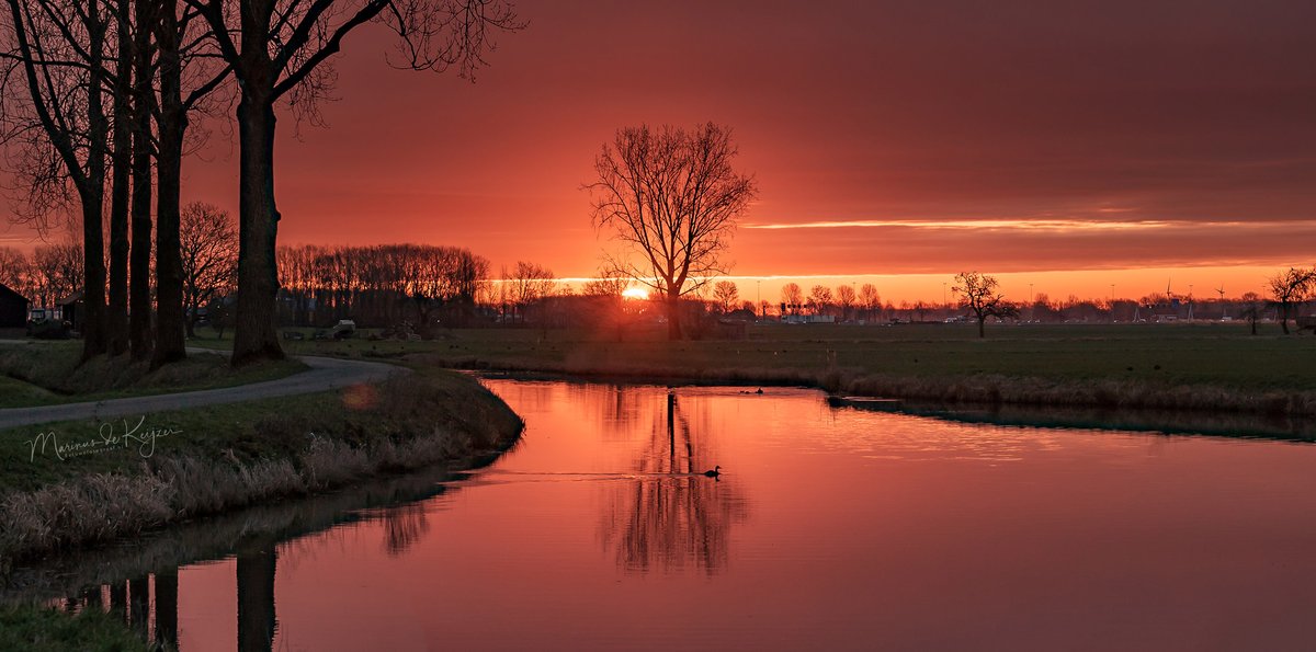 Betuwefotograaf.nl tweet media