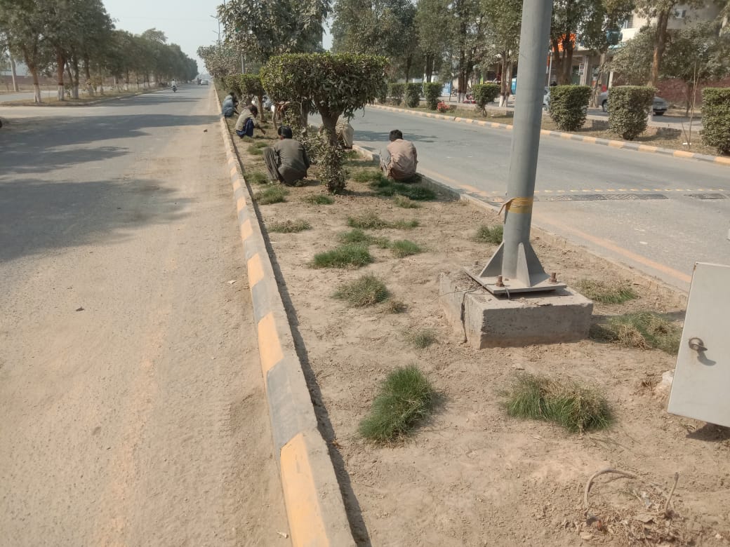 IEP_Town's tweet photo. Engineers Town Main Roads Green Belts Maintenance, Resetting, Grass Plugging &amp; Watering.

#malikshahbazalikhokhar #President #engineerstown #cooperative #society #Lahore #mainroads #greenbelt #maintenance #resetting #grassplugging #watering https://t.co/A9YZvzFWx1