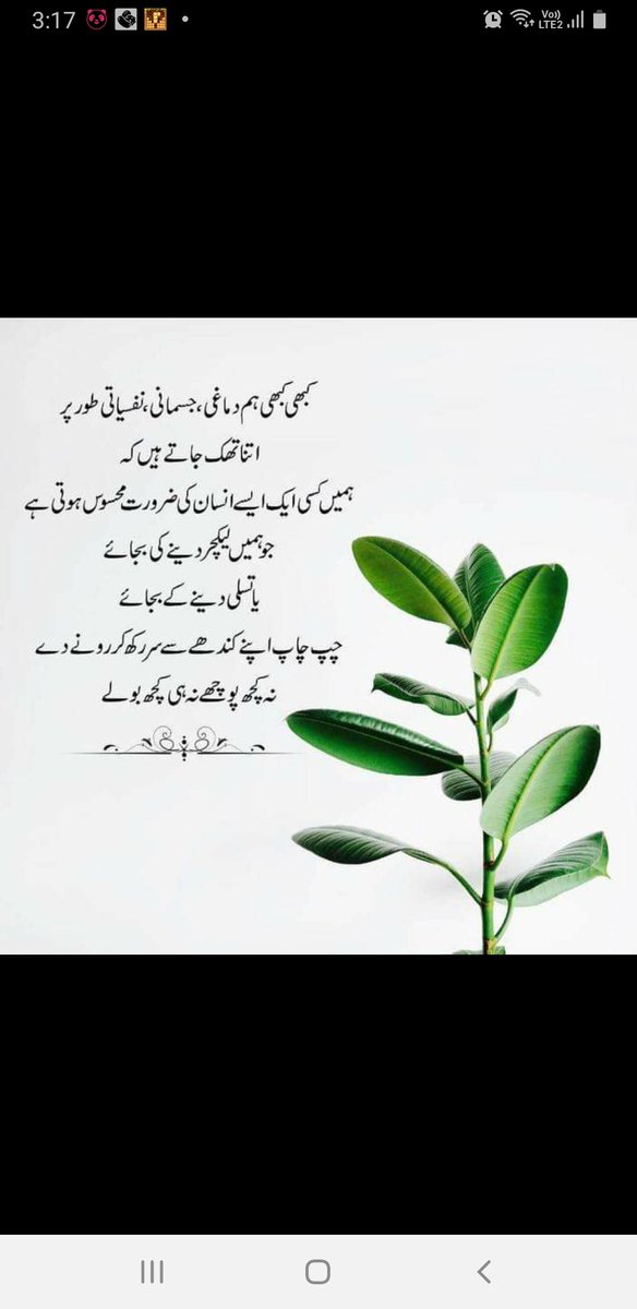 عظمی (@uzma68333048) on Twitter photo 