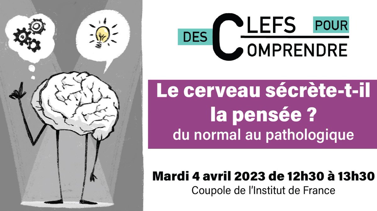 💫Comment les grandes fonctions cérébrales sont-elles organisées ? 
🧠Comment le cerveau interagit-il avec le corps et le monde extérieur ? Comment le cerveau apprend-il, se souvient-il et oublie-t-il ? 
🧐Comment les pathologies surviennent-elles ? 
⬇️ 1/2