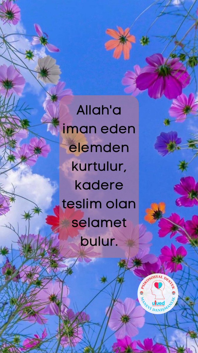 Ulued's tweet photo. #Allahaiman
#Kadereteslim https://t.co/vQLKjhql0Z